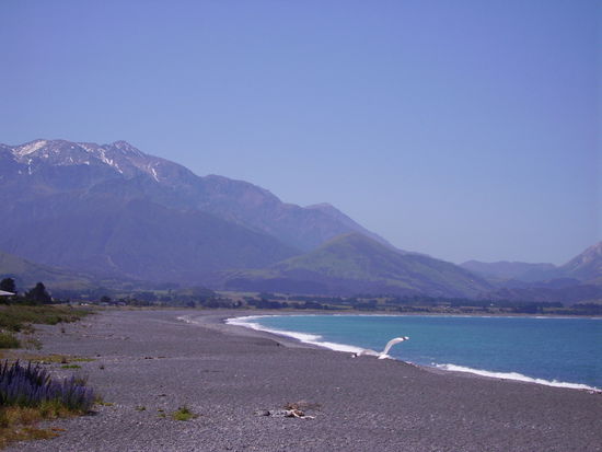 Noch einmal der Pazifik
