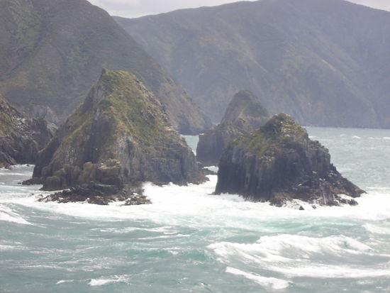 Küste der Südinsel, vor Picton