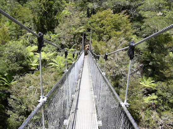 Hängebrücke nur für 5 Pers. zulässig.