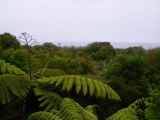 B&B im NP Pancake Rocks
