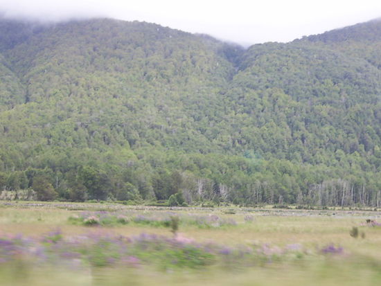 Fahrstrecke zum Milford Sound