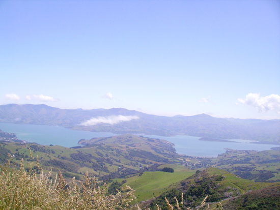 Bucht von Akaroa