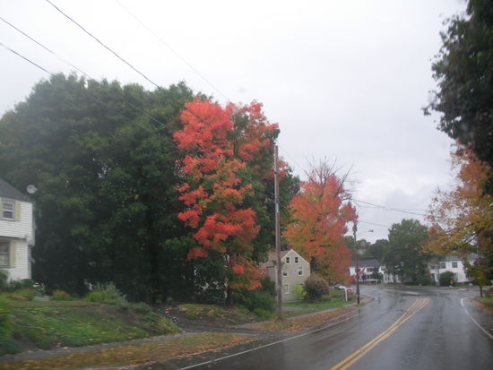 Indian Summer in Maine