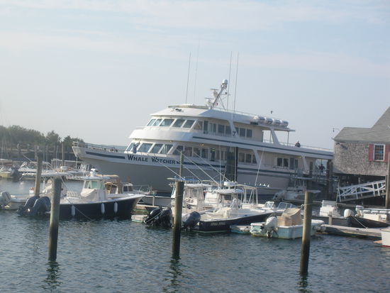Mit diesem Vessel gings zur Stellwagen Bank