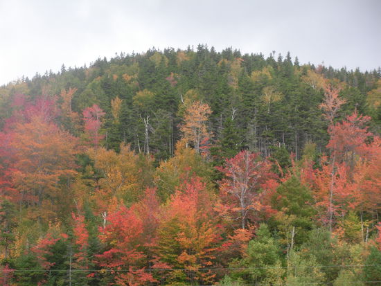 Eindrücke vom Indian Summer auf dem Kancamagus Highway