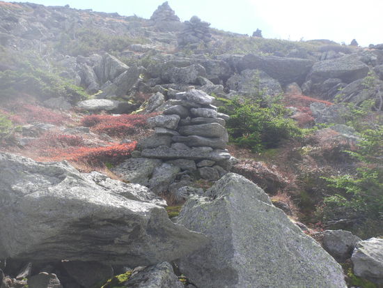 Gestein und niedrige Vegetation