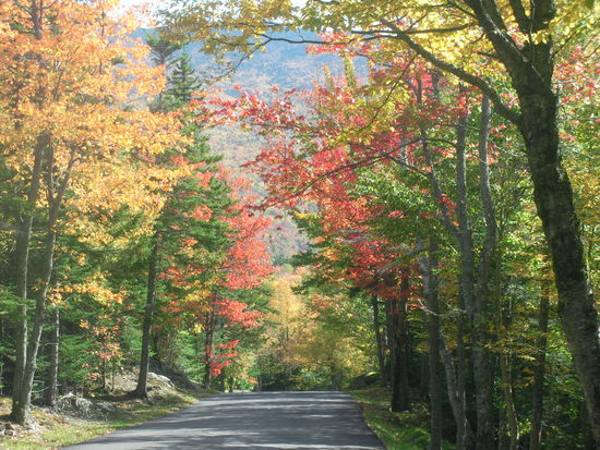Der untere Teil der Mount Washington Auto Route