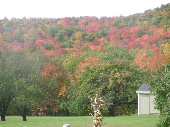 Indian Summer