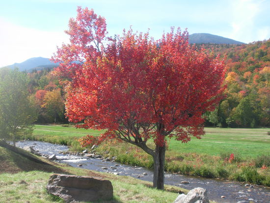 Indian Summer