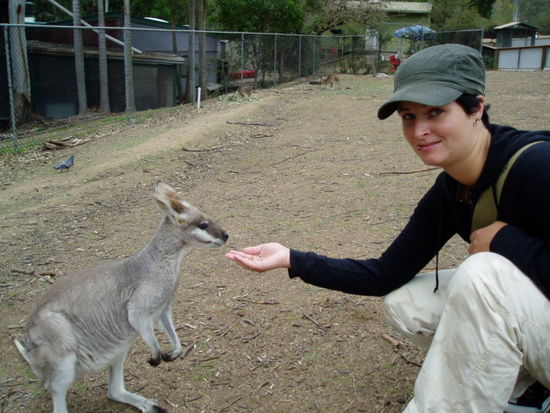 Ein kleines Kaenguru (Wallaby) und ich