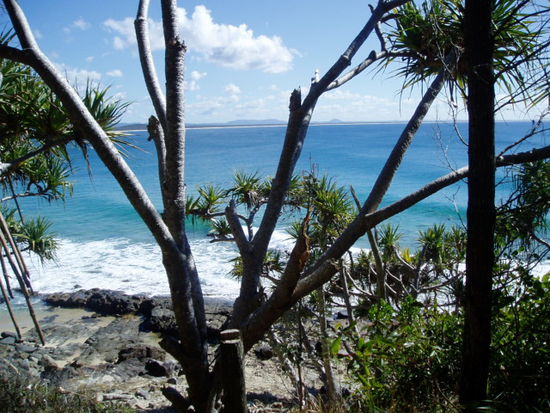 Kuestenweg im Nationalpark von Noosa