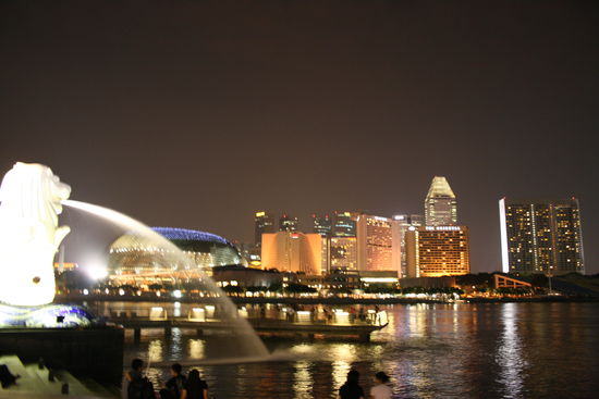 Singapore bei Nacht