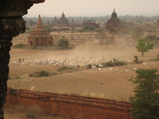 Bagan