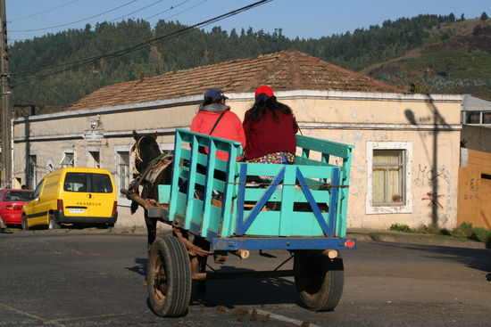 Vor dem Bahnhof wartet auch schon meine Rikscha, die mich zu meinem Hostel bringen sollte...