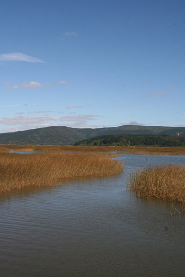 Dies sind erstmal nur Sümpfe, die wir auf unserer Weiterfahrt gen Süden durchqueren.