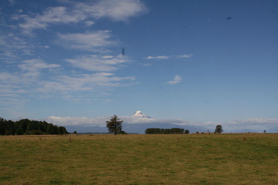 Hier ein erster Blick auf den Vulkan Osorno, der die gesamte Gegend um den Lago Llanquihue überragt und von überall sichtbar ist.