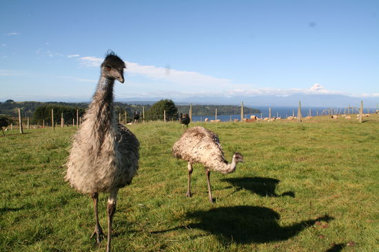 Hab´ da dann noch ein paar alte Bekannte wiedergetroffen...