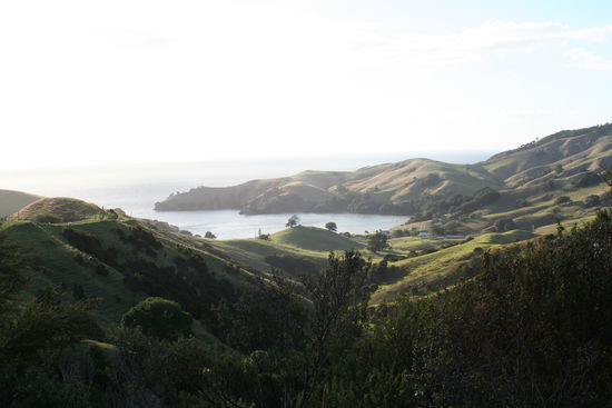 Coromandel