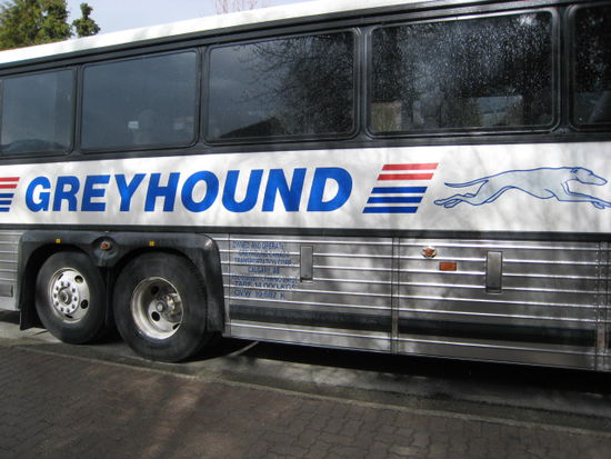 Greyhound, ein Wort das ich nicht so schnell vergessen werde