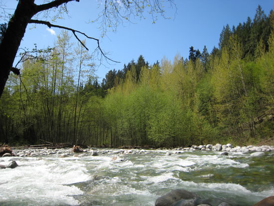 Bilder sagen mehr als Worte!