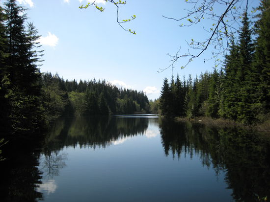 Rice Lake - wie aus dem Bilderbuch