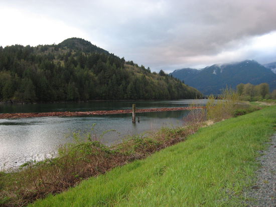 Harrison River... hier werden bald die ersten Lachse gegen den Strom schwimmen...