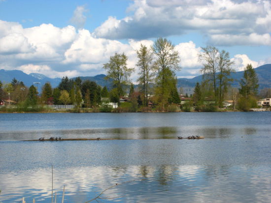 noch mehr Turtles... und die wunderbare Landschaft im Hintergrund