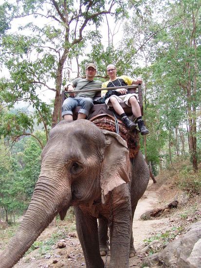 Los gings mit Elefantenreiten