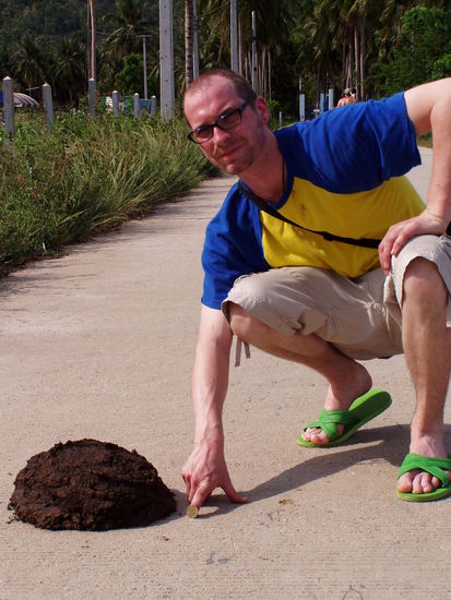 also immer einen opfereuro in den haufen stecken 