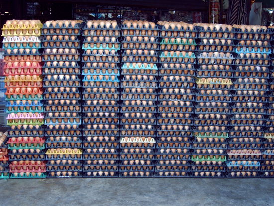 kein problem - auch ein paar eier kann man auf dem markt bekommen