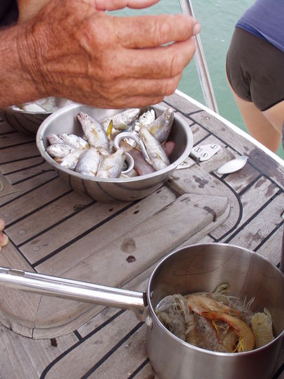 natuerlich gleich in den kochtopf - noch frischer gehts fast nicht mehr