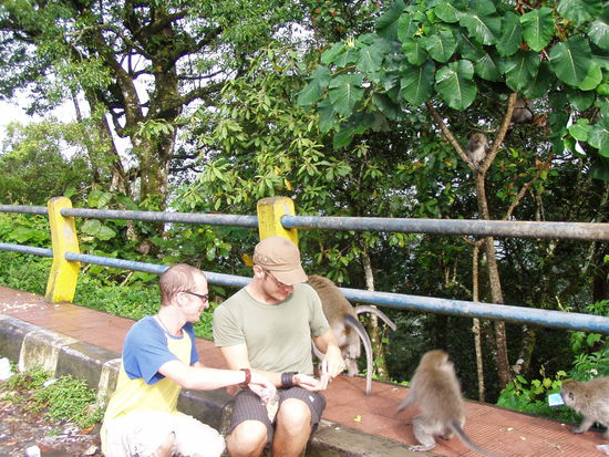 ratet mal was die zwei affen hinter meinem ruecken wohl machen 