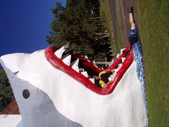 bildbeschreibung: die am boden liegende person ist marco, wie er justament versucht in das maul des haies zu kriechen