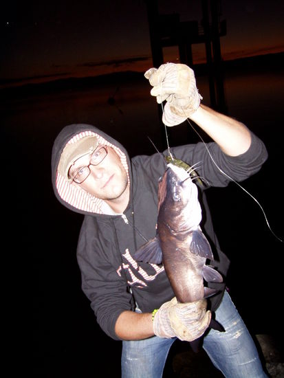 erster fang: ein katzenfisch (ca. 65 cm)