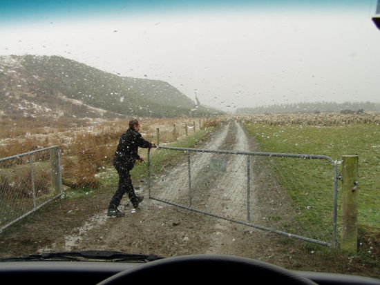 erstmal das schafgatter oeffnen