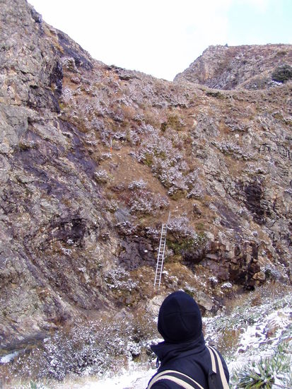 da ging der track weiter. natuerlich hatten wir ne aluleiter im handgepaeck