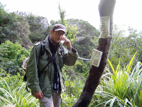 nach hause telefonieren