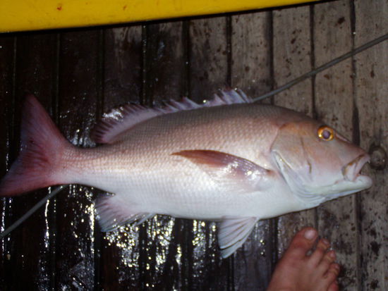 achja, bevor ich es vergesse: marco, es steht jetzt 2:1 fuer mich!