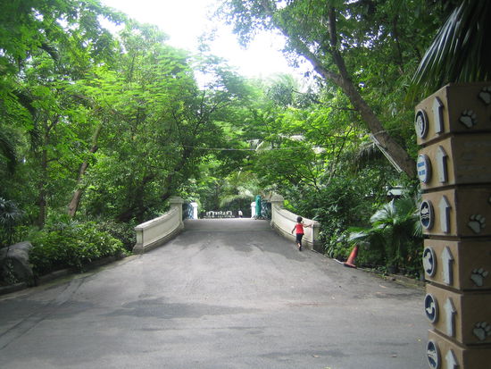 Dusit Zoo in Bangkok