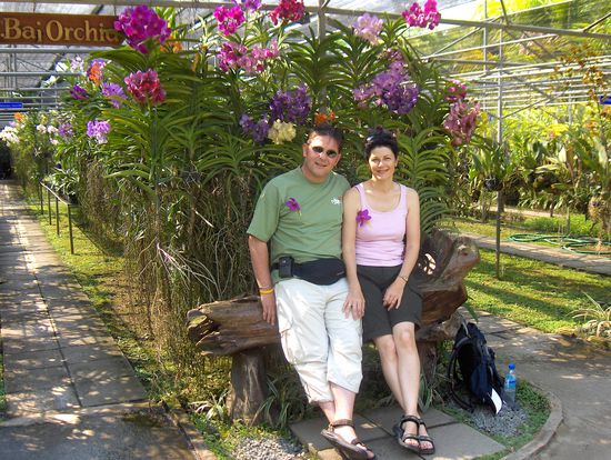 Herrliche Blueten... ganz in weiss gehalten 