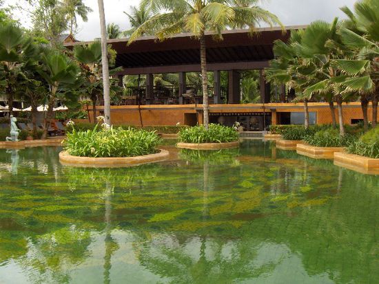 Der Pool, er wirkt etwas grün.... ist auch so! Wer blaues Wasser will, soll gefälligst in die Badi nach Aarau....
Man findet darin integriert einen Whirlpool und diverse Wasserdüsen welche einem angenehm die Muskeln entkrampfen.