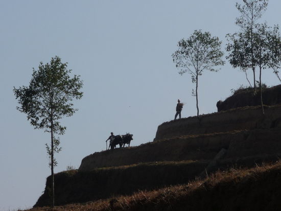 ...Landwirtschaft im Bergland