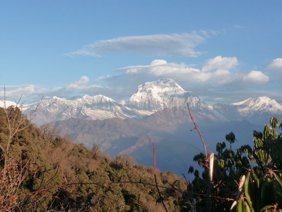 ... Blick auf Dhaulagiri (8167m)