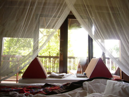 und da wacht man doch auch gern auf, dass ist naemlich der Blick wenn man im Bett liegt...