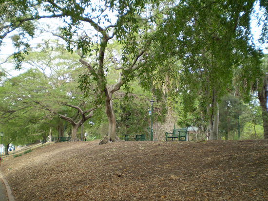 Der Botanische Garten!!...viele Jogger, da moechte man sofort mitmachen...hahahha..