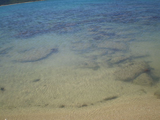 DAS nenn ich sauberes Wasser!!!