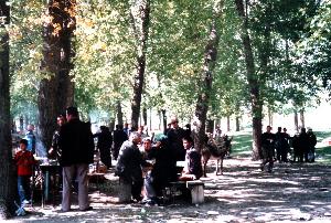 Viehmarkt bei Erseka