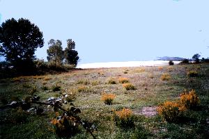 Landschaft bei Delfina