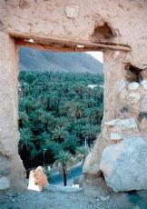 Djanet: Blick von der Altstadt auf die Palmenhaine
