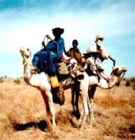 Tuaregfamilie